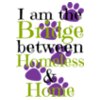 I am the bridge for light