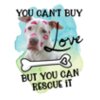 rescue dog