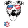 Pitbull outline sunglasses 4th
